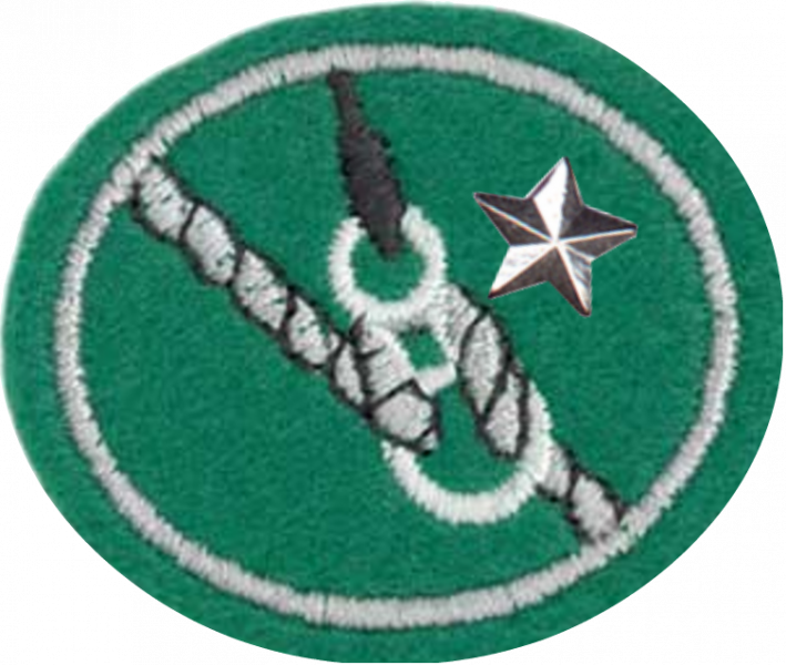 File:Abseiling Advanced AY Honor.png