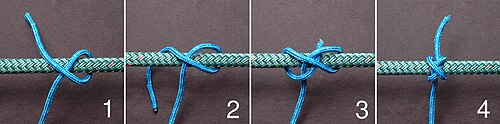 Constrictor-ABOK-1249.jpg