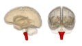 Thumbnail for version as of 09:18, 16 September 2009
