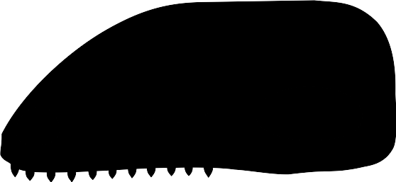 File:Skull diapsida 1.svg