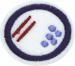 Bacteria AY Honor.png
