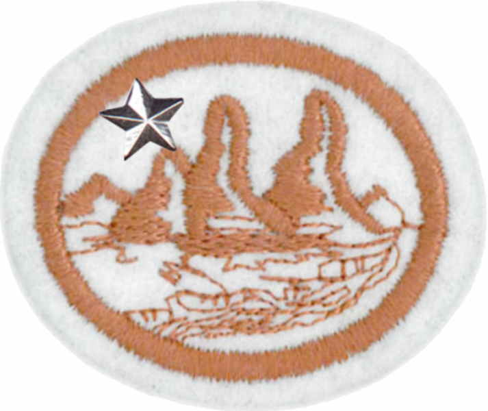 File:Geology Advanced AY Honor.png