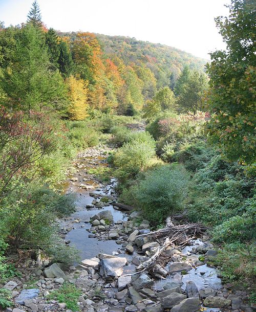 File:Pleasant Stream.JPG