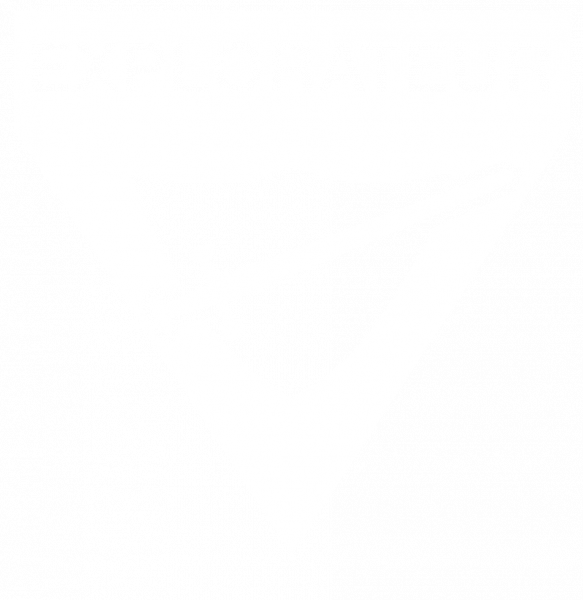File:Pathfinder Logo Simplified - FRENCH.png