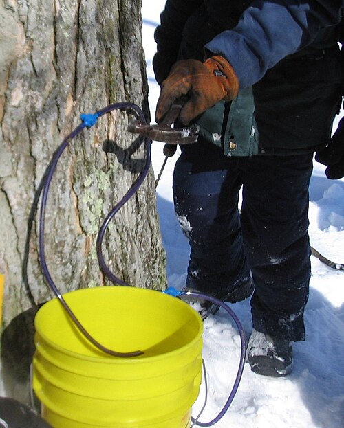 File:Inserting the tap.jpg
