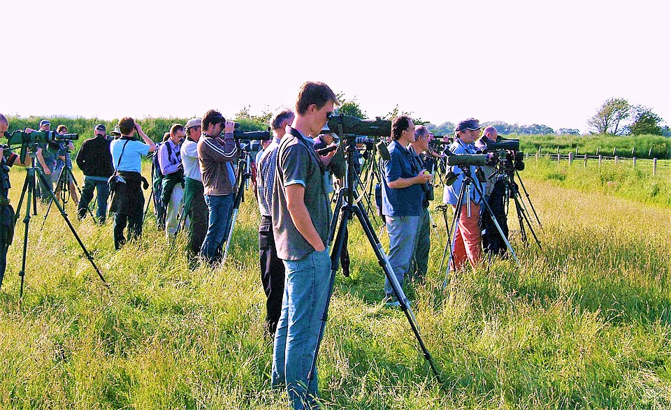 File:Birders at Caerlaverock.jpg