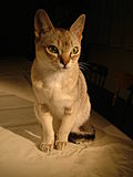 Thumbnail for version as of 04:30, 1 June 2007