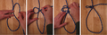 Thumbnail for version as of 02:41, 28 December 2008