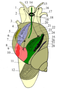 Thumbnail for version as of 22:07, 26 February 2007