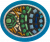 Mosaic Tile AY Honor.png