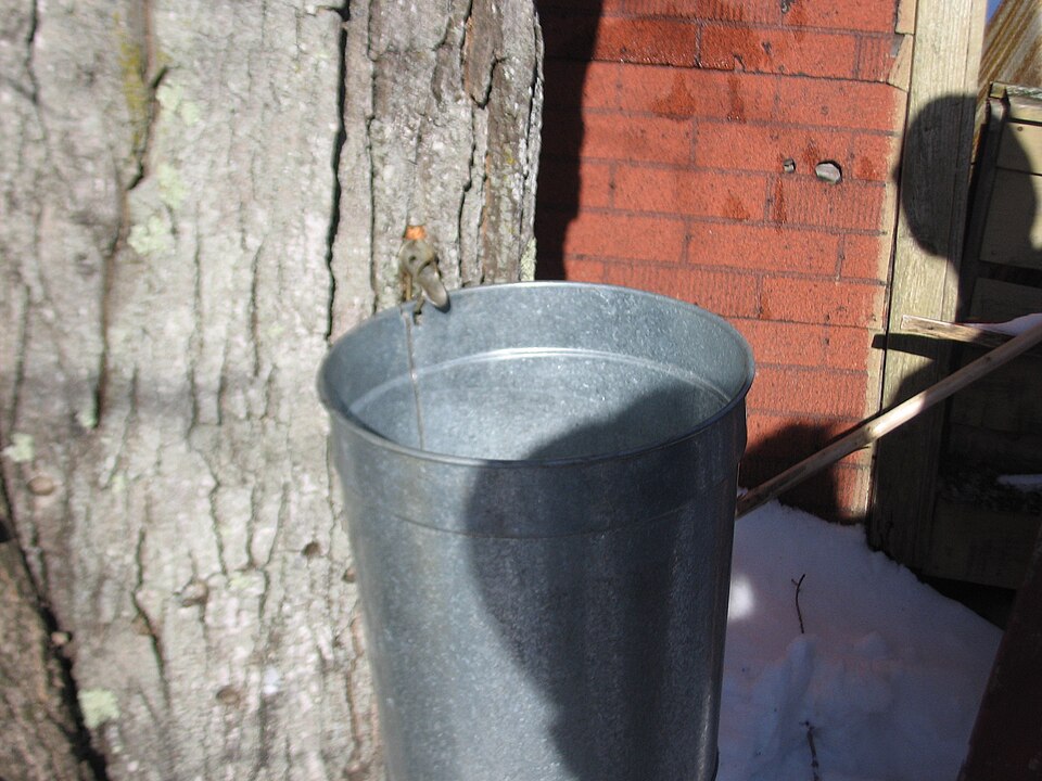 File:Bucket hanging on tap.jpg
