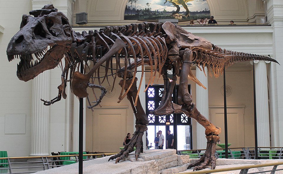 File:Sues skeleton.jpg