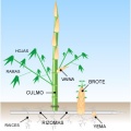 Thumbnail for version as of 20:24, 23 September 2020